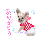 Ohanaのスタンプ（個別スタンプ：8）