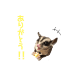 フクロモモンガのぽんすたんぷ（個別スタンプ：8）