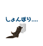 フクロモモンガのぽんすたんぷ（個別スタンプ：11）