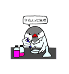 院生ちゅちゅ（個別スタンプ：3）