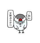 院生ちゅちゅ（個別スタンプ：6）
