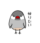 院生ちゅちゅ（個別スタンプ：8）