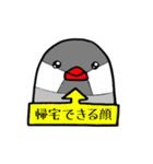 院生ちゅちゅ（個別スタンプ：9）