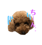 蓮くん凛ちゃんpart2（個別スタンプ：8）