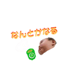 こなち3（個別スタンプ：30）