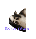ゆずちゃんはるちゃんスタンプ（個別スタンプ：5）