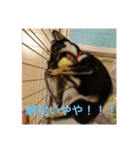 ゆずちゃんはるちゃんスタンプ（個別スタンプ：6）