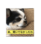 ゆずちゃんはるちゃんスタンプ（個別スタンプ：7）