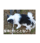 ゆずちゃんはるちゃんスタンプ（個別スタンプ：11）