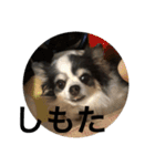 ゆずちゃんはるちゃんスタンプ（個別スタンプ：13）
