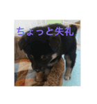 ゆずちゃんはるちゃんスタンプ（個別スタンプ：14）