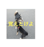 ゆずちゃんはるちゃんスタンプ（個別スタンプ：15）