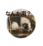 ゆずちゃんはるちゃんスタンプ（個別スタンプ：17）