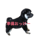 ゆずちゃんはるちゃんスタンプ（個別スタンプ：20）