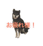 ゆずちゃんはるちゃんスタンプ（個別スタンプ：23）