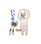 保護猫ユキと保健所猫うみ（個別スタンプ：1）