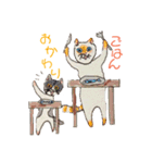 保護猫ユキと保健所猫うみ（個別スタンプ：11）