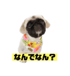ぼん蔵くん2（個別スタンプ：5）