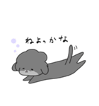 黒プーあんこちゃん（個別スタンプ：5）