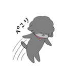 黒プーあんこちゃん（個別スタンプ：9）