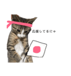 粋の日常すたんぷ（個別スタンプ：22）