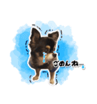 中田家のチワワ（個別スタンプ：22）