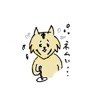 とらチャレ！（個別スタンプ：4）