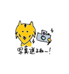 とらチャレ！（個別スタンプ：13）
