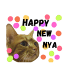 茶トラ猫のブシくん。（個別スタンプ：21）