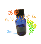 精油でHAPPY LIFE（個別スタンプ：1）