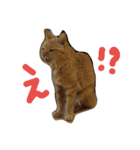 みみみまるちゃん（個別スタンプ：3）