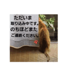 みみみまるちゃん（個別スタンプ：18）