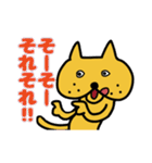 ブーねこ  ペロやん（個別スタンプ：25）