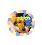 Tama-chan’s stamps（個別スタンプ：6）