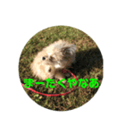 ベルの生活（個別スタンプ：4）