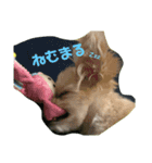 ベルの生活（個別スタンプ：6）