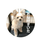 ベルの生活（個別スタンプ：8）
