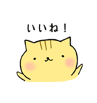 もぐねこ(日常の主張)（個別スタンプ：13）