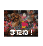 オタクのわんちゃんは茶色い犬ですね（個別スタンプ：9）