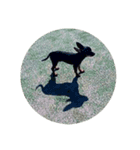愛犬クロ（個別スタンプ：4）