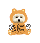 ビション わらび（個別スタンプ：4）