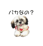 駄犬翔ちゃん（個別スタンプ：1）