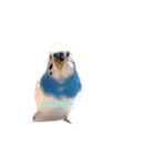 インコ好き（個別スタンプ：2）