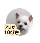 ぽの塩対応（個別スタンプ：7）