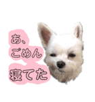 ぽの塩対応（個別スタンプ：8）