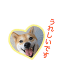 ハチとうに   2（個別スタンプ：18）