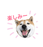 ハチとうに   2（個別スタンプ：23）