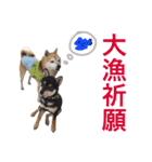 ハチとうに   2（個別スタンプ：37）