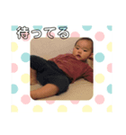 我が家の銀ちゃんスタンプ（個別スタンプ：7）