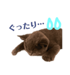 まんじろうツンデレ。（個別スタンプ：3）